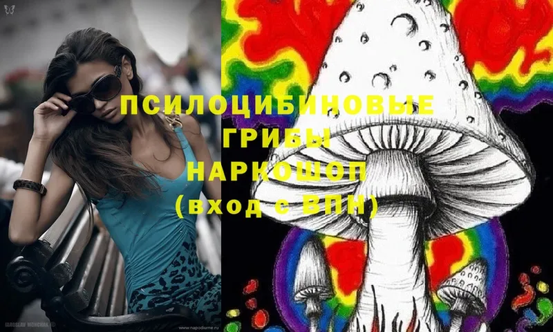 Псилоцибиновые грибы MAGIC MUSHROOMS  MEGA онион  Зима 